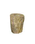 Large Fossilised Wood Tealight Candle Holder
