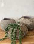 Large River Stone Pot Plant