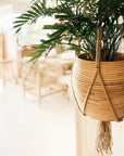 Small Cane Pot Plant Hanger