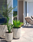 Ancient U Planter Pot - Assorted Sizes