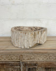 Fossilised wood basin – 50 x 46 x 15cm – Paradise Living Co.
