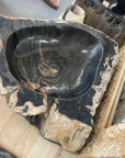 Fossilised wood basin – Paradise Living Co.