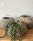 Small River Stone Pot Plant