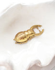 Brass Beetle Bottle Opener | Made To Order