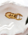 Brass Beetle Bottle Opener | Made To Order