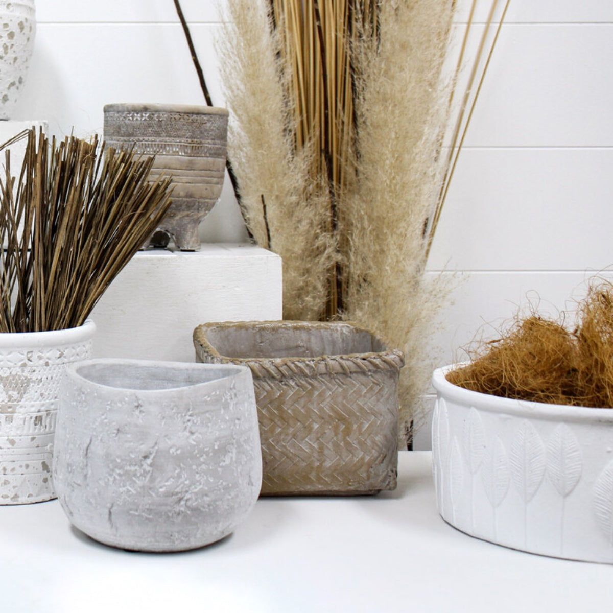 Collection Image