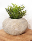 Small River Stone Pot Plant