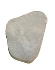 Stone Steppers